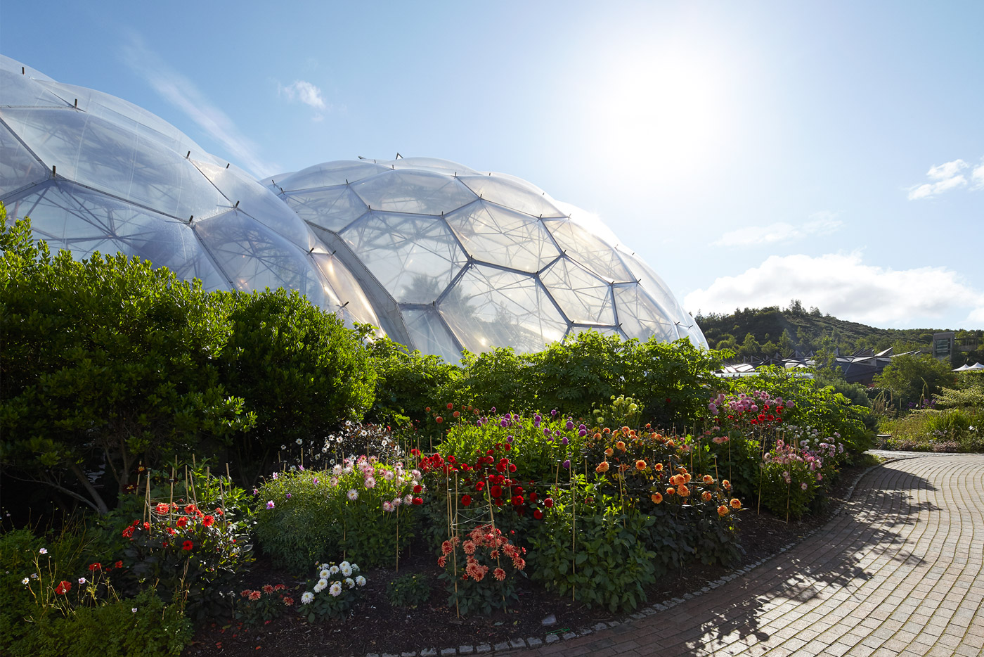 dahlias-biome-eden-project-2015-©Hufton+Crow-048